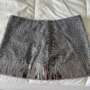 NWOT Zara Micro Fringe Sequin Skirt